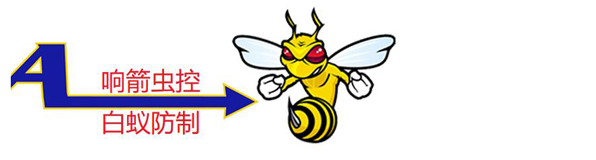 ��������к�����������޹�˾,��ɳ���Ϸ���,��ɳ��������,��ɳ���Ϸ��ι�˾,��ɳ����������˾,��ɳ��������,��ɳ�������Ϲ�˾,���ϰ��Ϸ���,���ϰ�������,���ϰ��Ϸ��ι�˾,���ϰ���������˾,������������,�����������Ϲ�˾,��������к�����������޹�˾